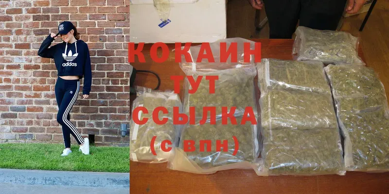 купить закладку  Кубинка  COCAIN Columbia 